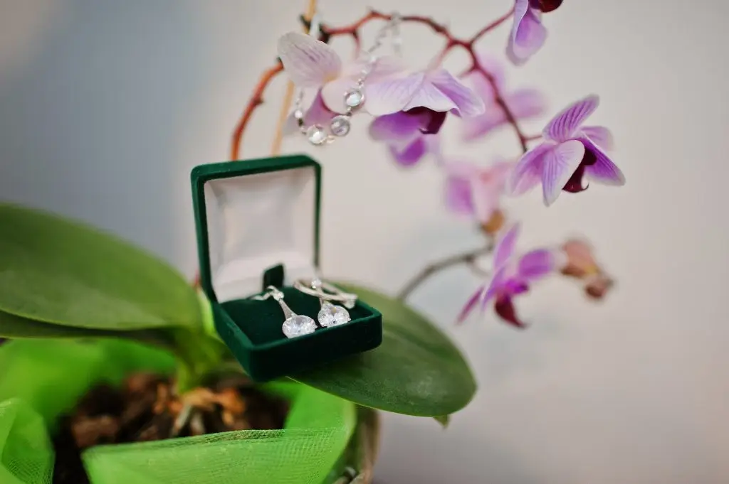 Boucles d'oreilles sur la fleur d'orchidée